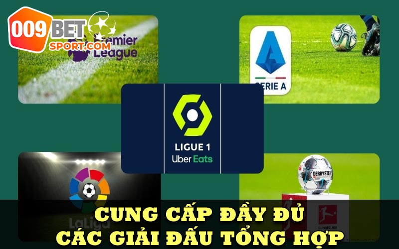 Cung cấp đầy đủ các giải đấu tổng hợp